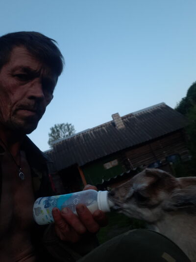  ,   , 49 ,   