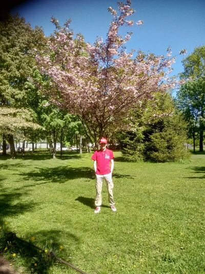  -,   , 31 ,   ,   , c 