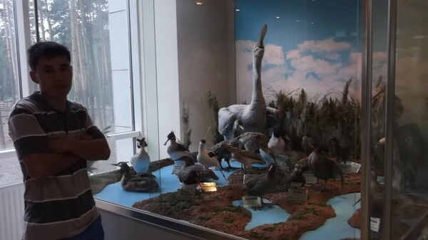 ���������� ������, ���� ������� ������, 42 ����, ������������ ��� ������