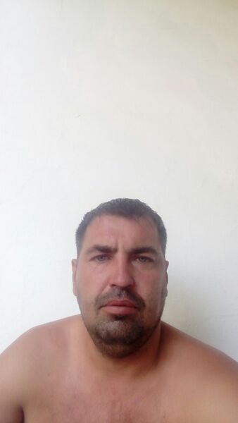  ,   , 41 ,     , c 