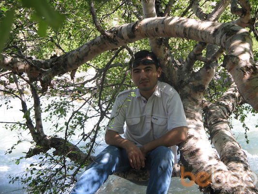  ,   Baki, 51 ,     , c 