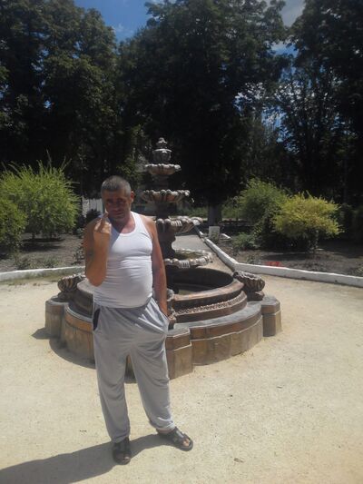  ,   , 46 ,  