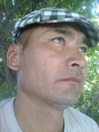  ,   , 44 ,   