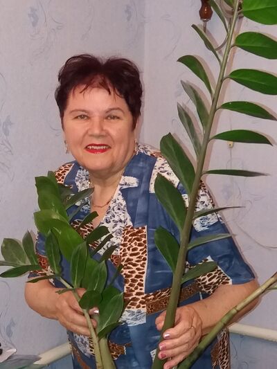  Vaslui,   , 66 ,   ,   , c 