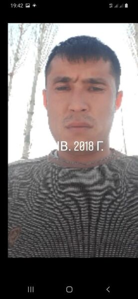  -,   , 37 ,   ,   , c 