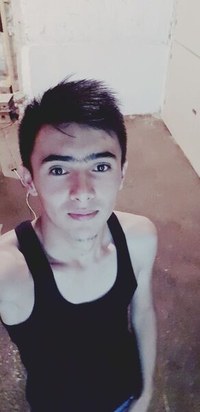  -,   Faz, 28 ,  