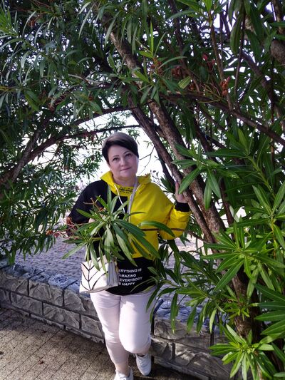  ,   , 53 ,   ,   