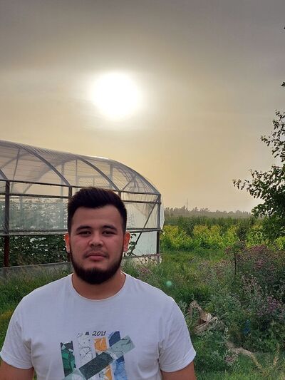  ,   Ali, 24 ,   ,   