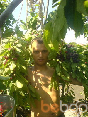  -,   Serega, 43 ,  