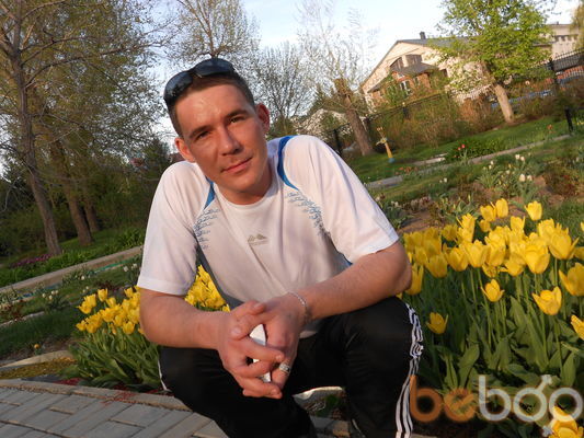  3323085  , 41 ,    -