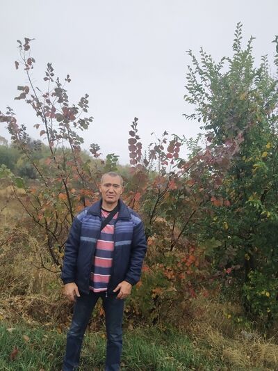  ,   , 54 ,   ,   