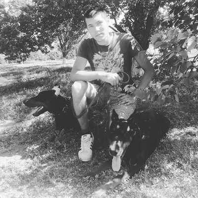  ,   Vlad, 28 ,   ,   , c , 