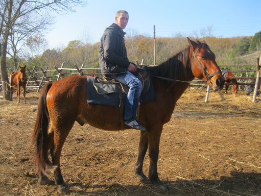  ,   Sergei, 50 ,   