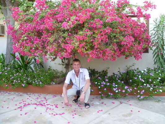  ,   , 61 ,   ,   , c , 