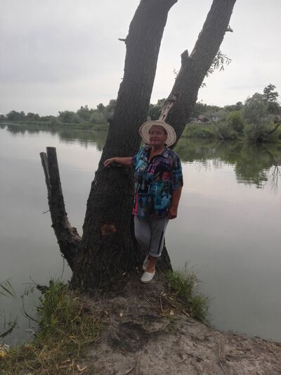  ,   , 74 ,   ,   