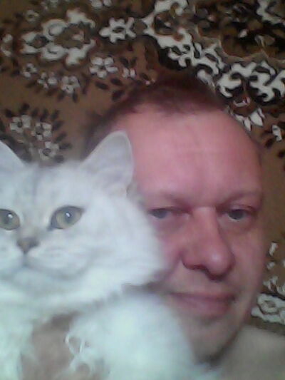  ,   , 53 ,   
