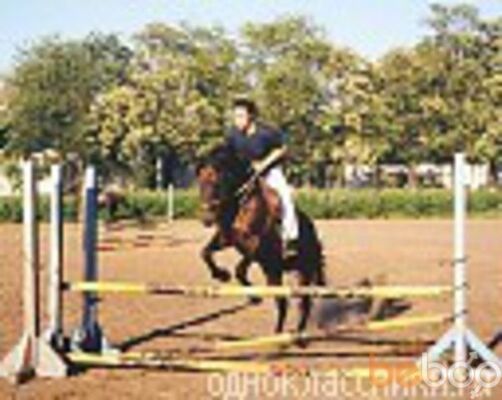  --,   Drolia, 46 ,  