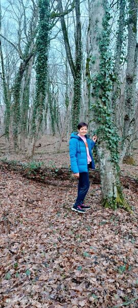  ,   , 54 ,     , c , 