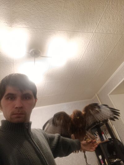  ,   Viktor, 31 ,   c 