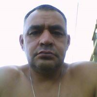  -,   , 51 ,   