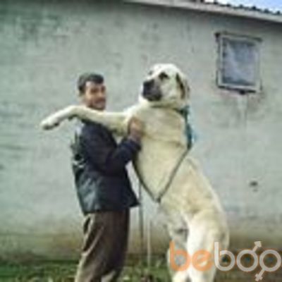  ,   Zoro, 35 ,   