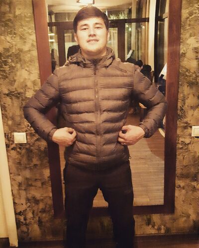  ,   Salix, 29 ,   ,   , c 