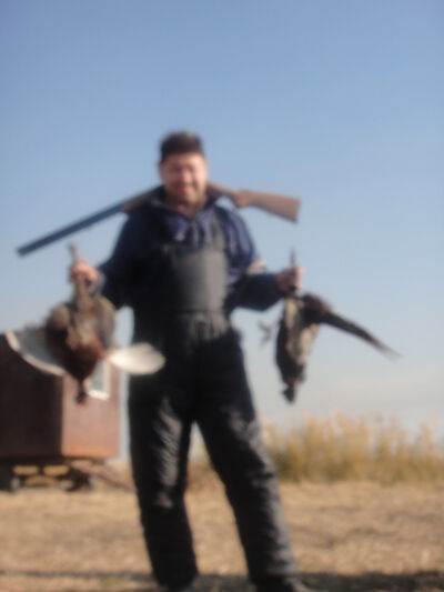  ,   , 49 ,   