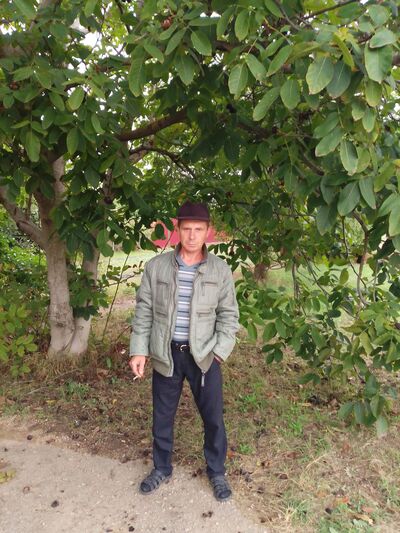  ,   , 53 ,   ,   