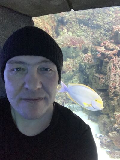  ,   , 44 ,   ,   