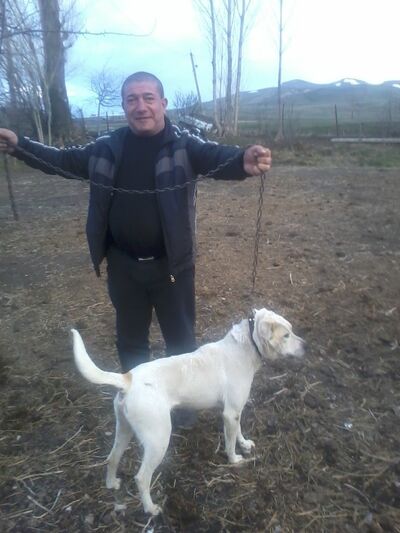  ,   Arsen, 52 ,   ,   