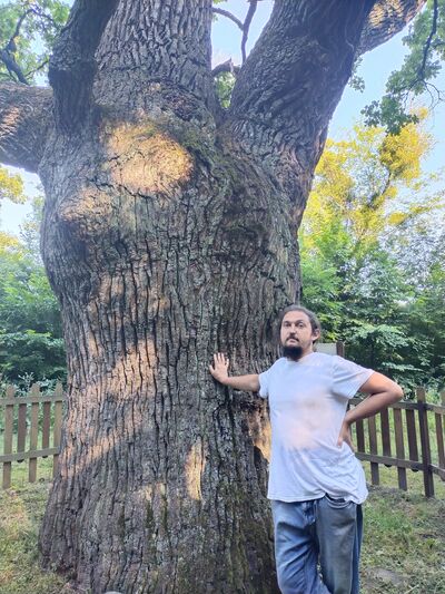  ,   Roman, 42 ,     , c 