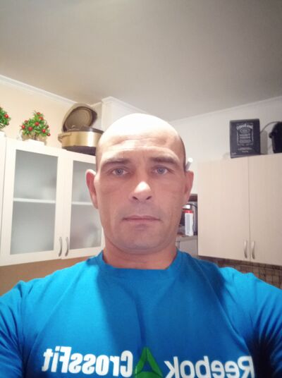  -,   , 46 ,   ,   