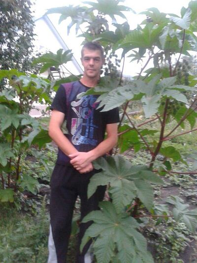  ,   , 41 ,   ,   , c , 