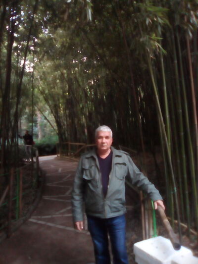  ,   , 61 ,   