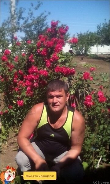   ,   , 48 ,   