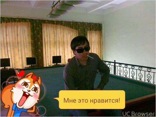 ,   Sexjama, 38 ,   
