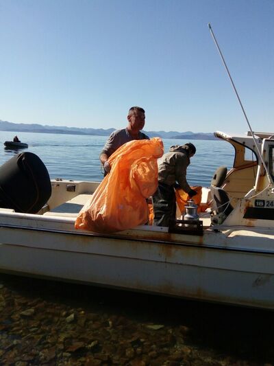  -,   Albertkoltov, 56 ,     , c 