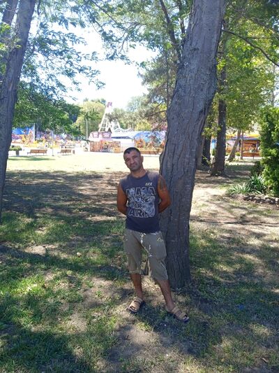  --,   , 46 ,   ,   