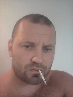  ,   Bars, 41 ,   