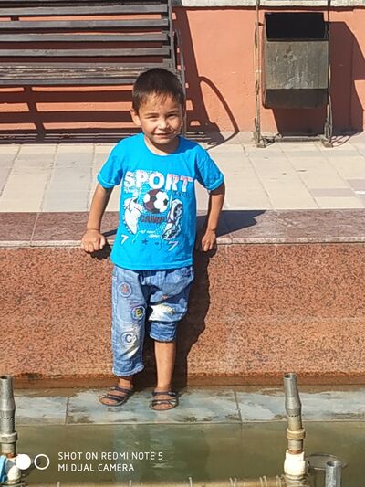  -,   , 43 ,   ,   , c 