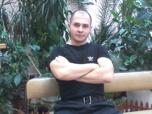  ,   Nolet, 42 ,   