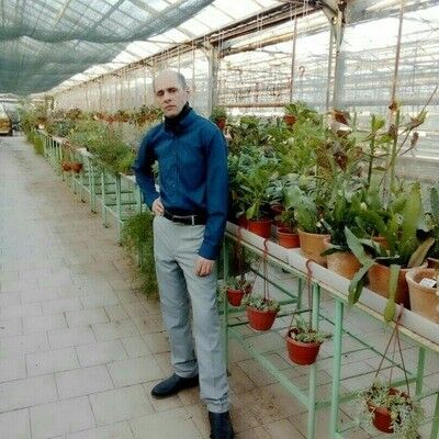  -,   , 46 ,   ,   , c , 