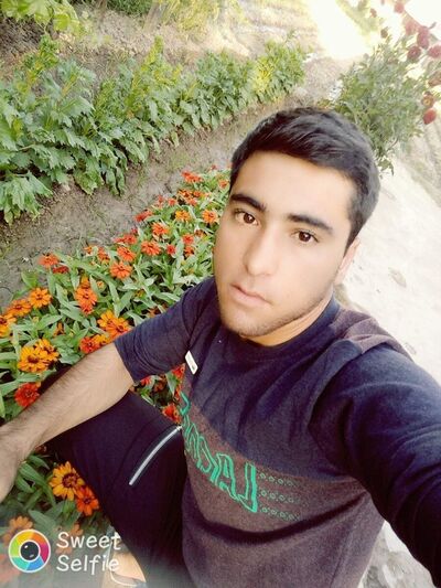  ,   Xuligan, 33 ,   ,   , c 