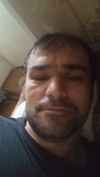  ,   Zayni, 37 ,   
