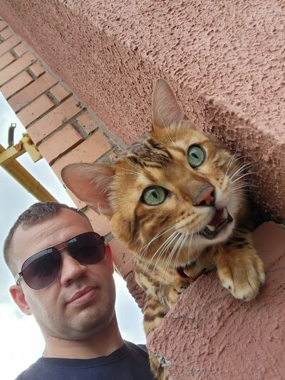  ,   , 36 ,   ,   , c , 