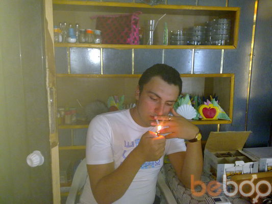  ,   89881334282, 33 ,     , c 