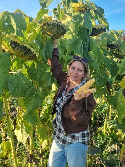  -,   , 48 ,   ,   , c , 