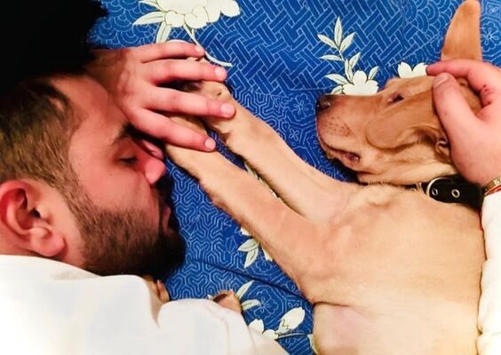  --,   Raj, 27 ,   ,   , c 