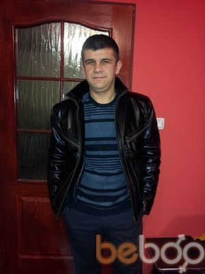  3648425  , 38 ,    