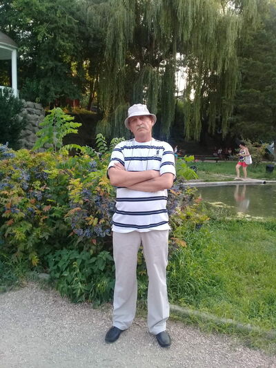  ,   , 66 ,  